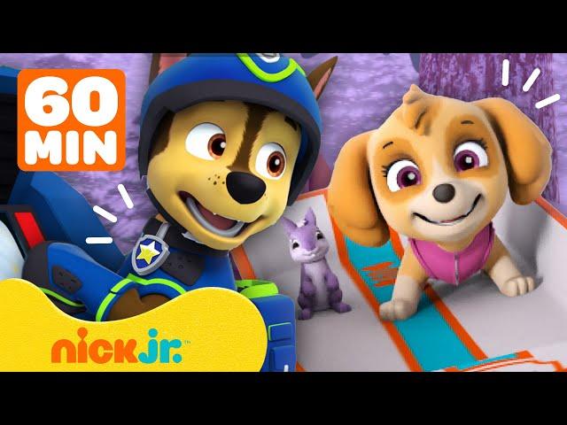 Psi Patrol | Psi Patrol na ratunek przyjaciołom! | 60 minut scen | Nick Jr. Polska