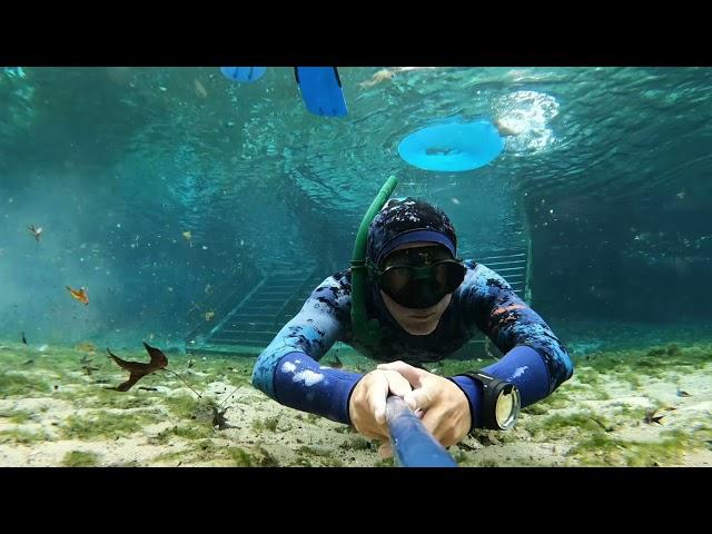 Freediving Ginnie Springs