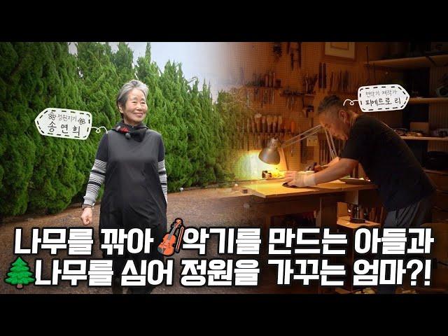 [ SUB ] 고흐의 길, 향나무가 있는 풍경 Van Gogh's Road, A Juniper Garden |정원의 발견Wonders of Garden|KBS제주20240223방송