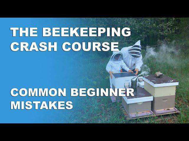 Common Beginner Mistakes - Beekeeping Basics Part 12 - Beekeeping Crash Course