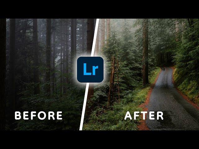 8 Quick Photo Editing Tips for Beginners