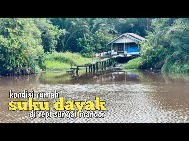 Kondisi perkampungan suku dayak ahe di sungai mandor