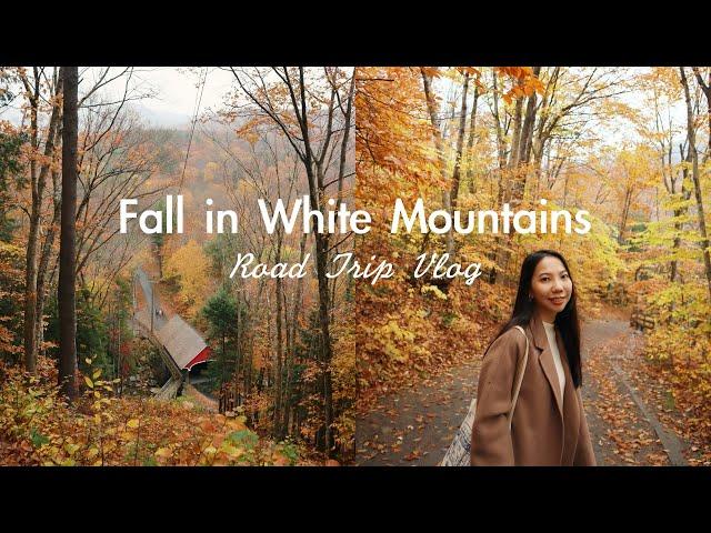 Fall in White Mountains Vlog 白山國家森林、美國最美賞楓公路Kancamagus Hwy 、Flume Gorge 新英格蘭的秋天旅行 我是蘇 ItsSueChen