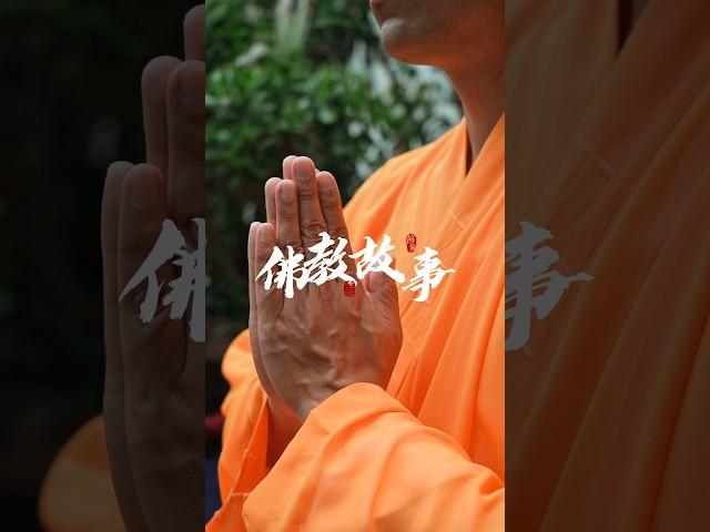 佛教故事 ｜ 要求给予回报的施舍毫无意义 ｜ 人生哲理 #佛学 #佛教 #人生感悟 #哲学