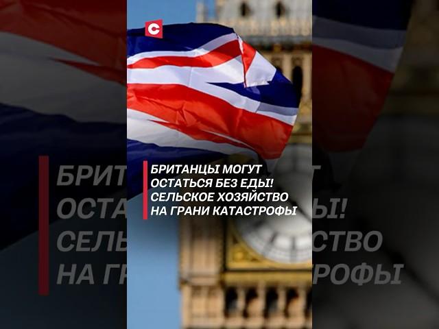 Британцы могут остаться без еды! #англия #новости #политика #еда #катастрофа #голод #засуха #погода