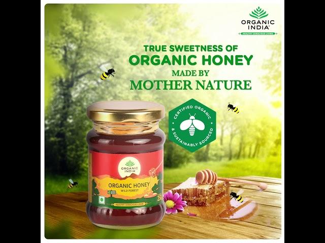 ORGANIC INDIA Wild Forest Honey | True Sweetness of Organic Honey