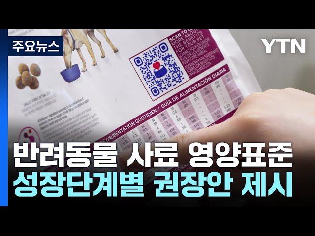 [녹색] 댕댕이·냥이 사료 영양표준 나왔다..."펫 푸드 시장을 잡아라" / YTN