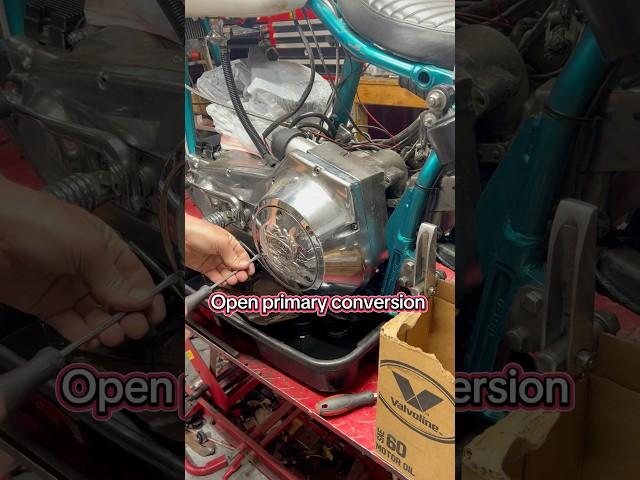 Shovelhead open primary conversion. #motorcycle #harleydavidson #shovelhead #biker #bikelife
