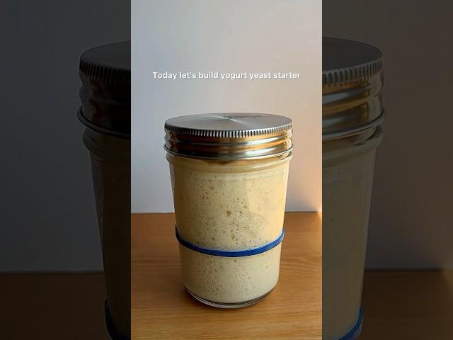 How to Build a Yogurt Yeast Starter? #tutorial#sourdough#sourdoughstarter#easyrecipe#bread#homemade