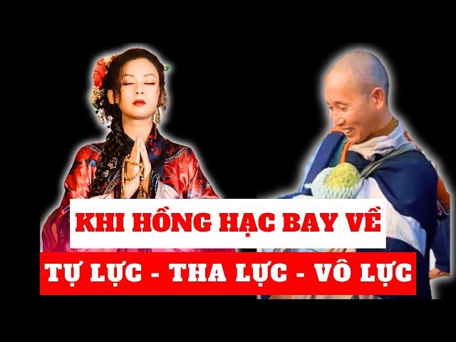 Thích Minh Tuệ: Bóng Hạc lưu lạc giữa đời thường | Minh Triết Phật Giáo