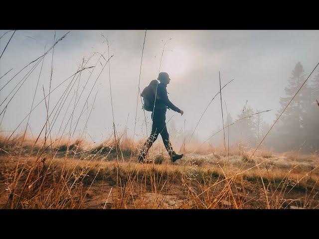 Relaxing Mountain Forest Walk  Golden Autumn ASMR / Rycerzowa in Beskidy mountains, Poland