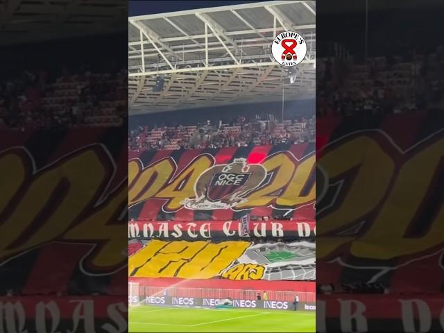 LIVE: OGC NICE- Saint-Etienne | Ligue 1  | 20/09/24