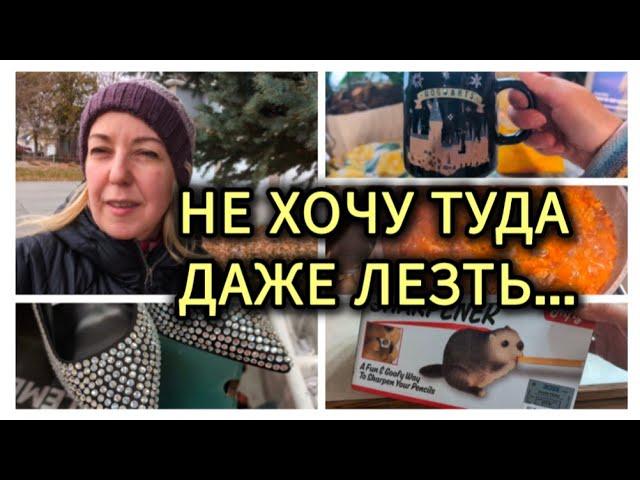 ВЛОГ: НА МНЕ СЭКОНОМЯТ В ИТОГЕ / НЕ БУДУ БОЛЬШЕ ЛЕЗТЬ ТУДА / НАСТРОЕНИЕ - НЕ ПОДАРОК!