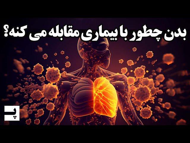 ارتشی برای حفاظت از بدن انسان - سیستم ایمنی بدن چطور کار میکنه