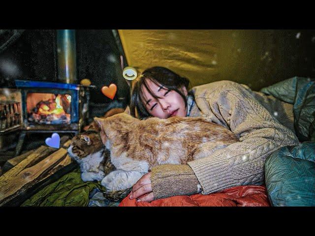 Winter camping that was so warm in -15℃ snowfall / Solo camping / sleep with cats