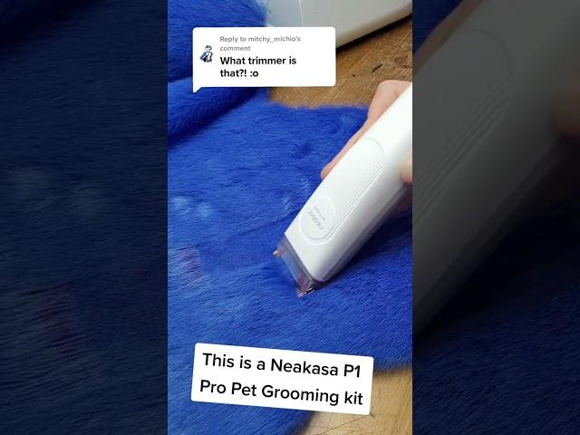 Best vacuum for pet hair 2022 Neakasa pet grooming kits