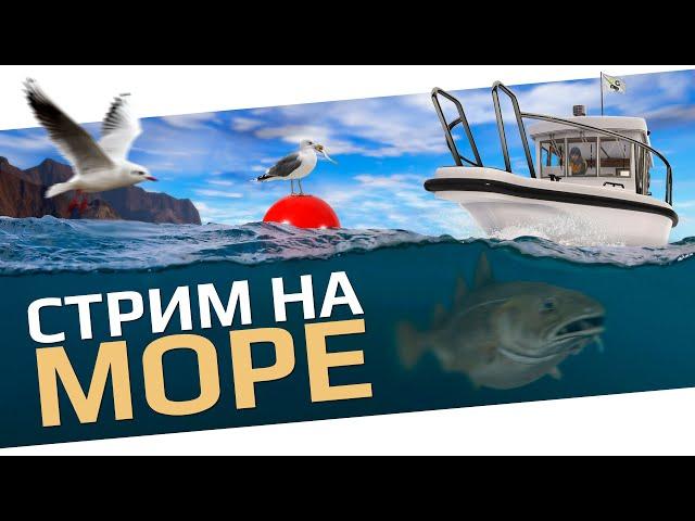 РУССКАЯ РЫБАЛКА 4 -  Норвежское море / Фарм монет для покупки Туриона 30000 / Стрим