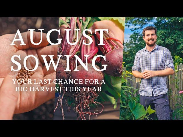 23 Crops You Need to Sow in August | Last Chance