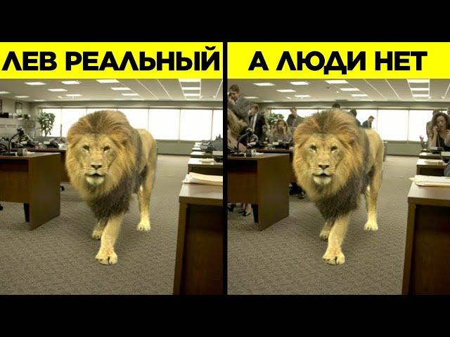 Убедительная Графика, Которую Вы Приняли За Реальные Сцены