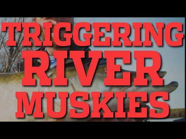 In-Fisherman | Triggering River Muskies