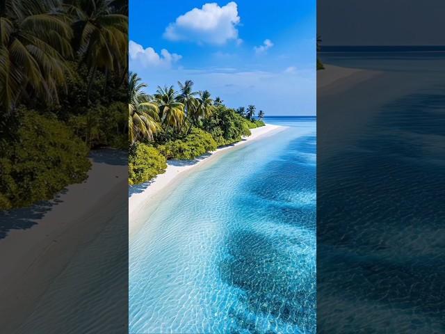 Tropical Places _ Best Nature #beautiful #nature #tropical #place #destination #fantasy #video #fyp