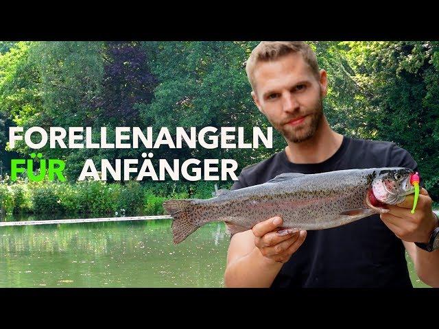 FORELLENANGELN für EINSTEIGER - Meine Taktik für den FORELLENSEE | Fishing-King.de