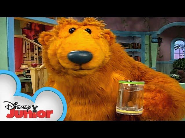 Water, Water Everywhere | Full Episode | S1 E2 | Bear in the Big Blue House | @disneyjr