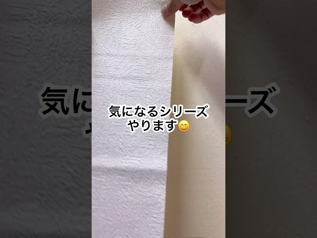 結果が楽しみ#shorts #クロス屋 #掃除 #実験 #内装 #サンゲツ #結果