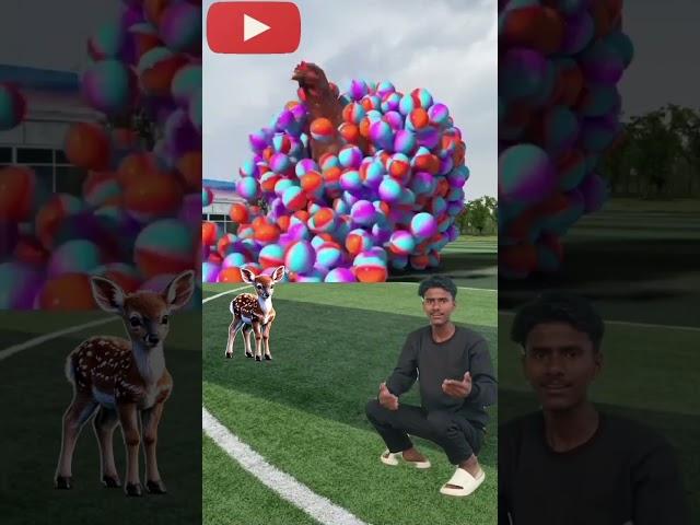the mascot vibrato aisstant placedonthe football field is popular products new sap video viral