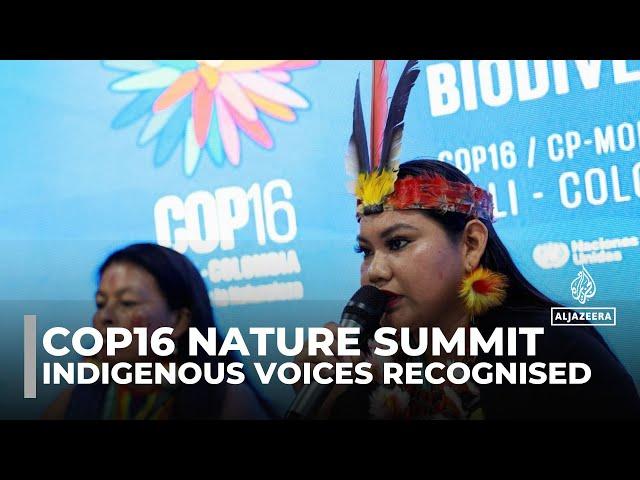 COP16 biodiversity summit signs agreement to grant Indigenous groups a permanent voice