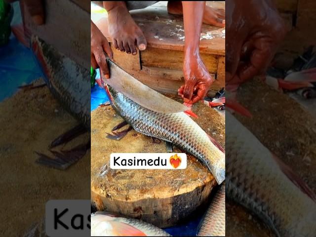 Amazing fish cutting skill live #shorts #pangasfish #kasimedu #fishcutting #fishpreparation #katla