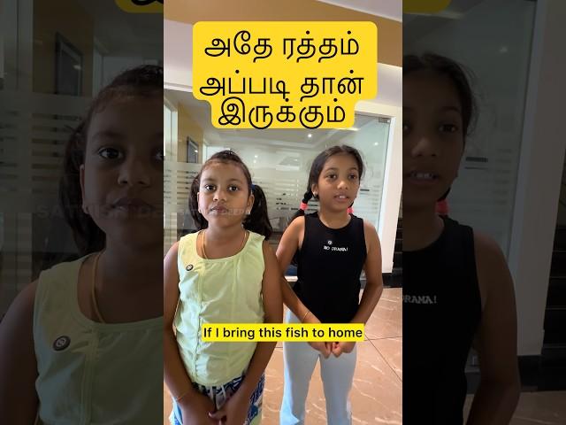 Tag that fish lover #sathishdeepa #deepasathishcomedy #deeshatharaa #deepasathish