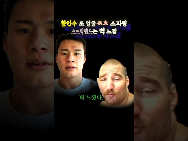 황인수, 얼굴 또 ㅆㅊ 스파링. 스트릭랜드는 벽느끼다 (ft.김동현, 고석현, 홍구)