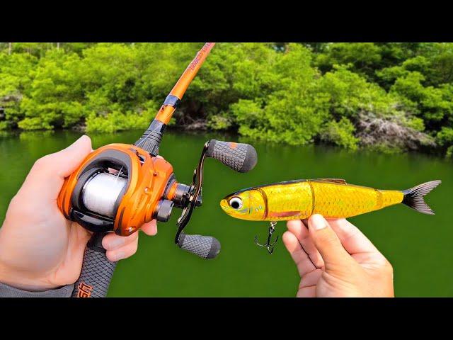 Fishing a GIANT Swimbait for Pond MONSTERS!