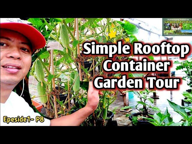 Rooftop Container Garden Tour