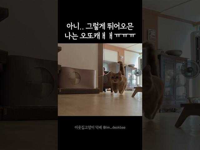 집사 사망 5초전 