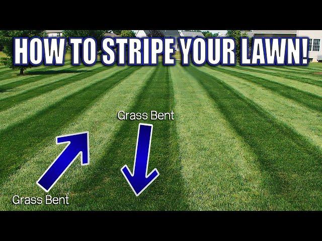 How to get Perfect Lawn Stripes with a Push Mower!