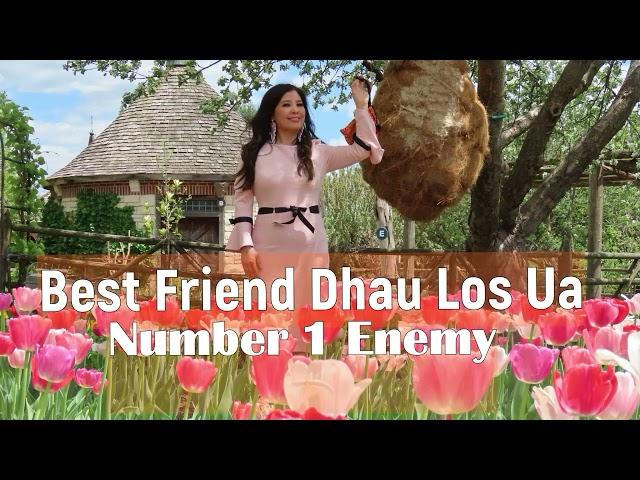 Best Friend Dhau Los Ua Number 1 Enemy~09/25/2024~