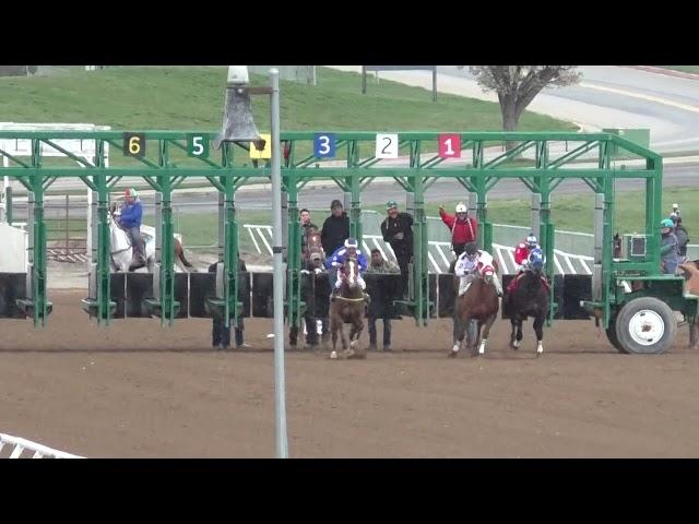 Race 2 330 Yards - Quarter Horse Maiden