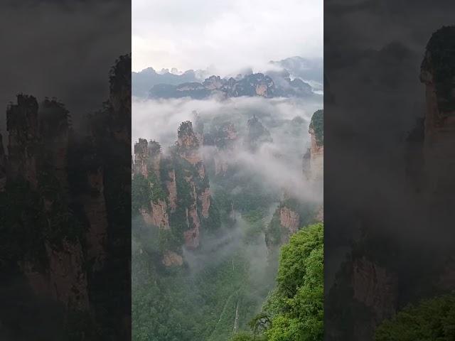 張家界導遊張雄邀妳欣賞中國張家界國家森林公園峰林美丽的风光#張家界導遊張雄#張家界國家森林公園#張家界#張家界旅行