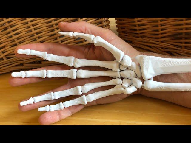 Assembly Sequence for 3D Printed Human Hand Model