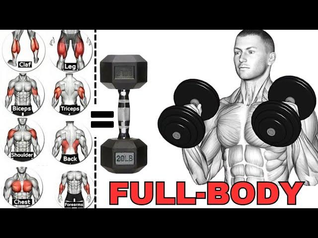 How To Do Dumbbell Workout At Home To Build Muscle | Full Body Workout With Dumbbells