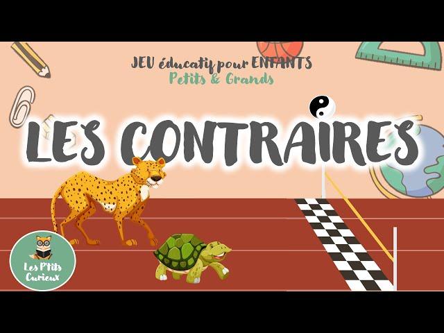 LES CONTRAIRES  Jeu éducatif Quiz pour Enfants  Maternelle 3-5 ans