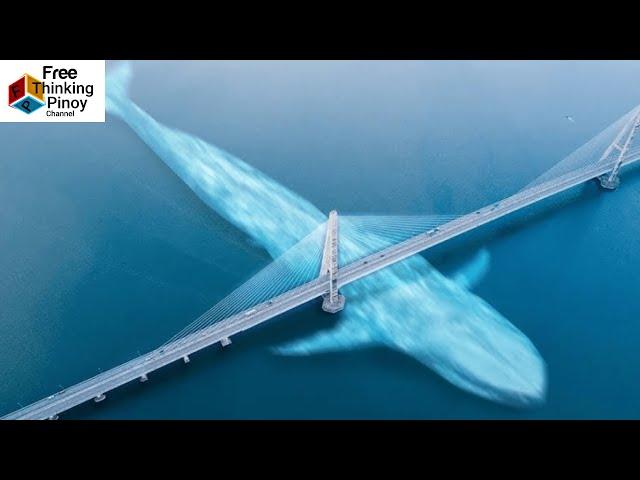 Ganito Kalaki ang Halimaw na BALYENA | Largest Animal in the World BLUE WHALE