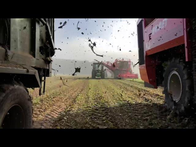 Demonstration J Riley Beet Harvesters in Norfolk