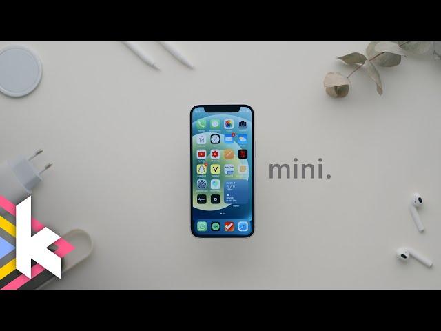 Klein, aber fein: iPhone 12 mini (review)