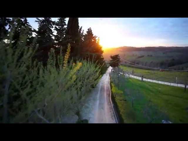 PoggiBonsi Tuscany wineyard