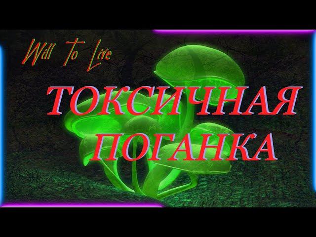 Will To Live online Ивент: Токсичная поганка