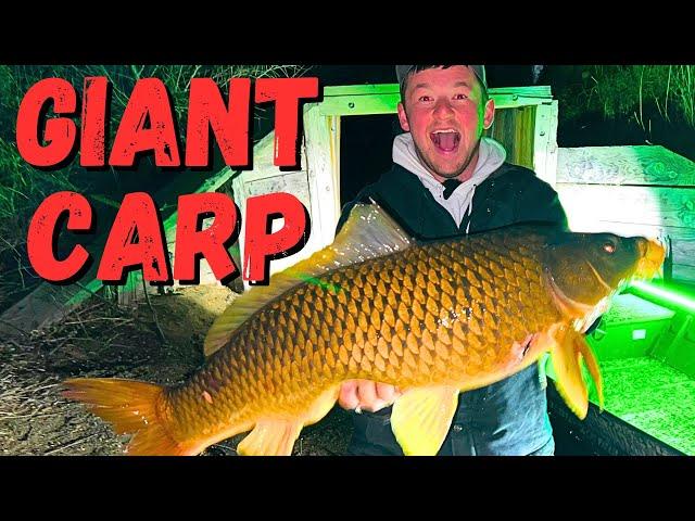 Bowfishing For Giant Invasive Carp At Night!