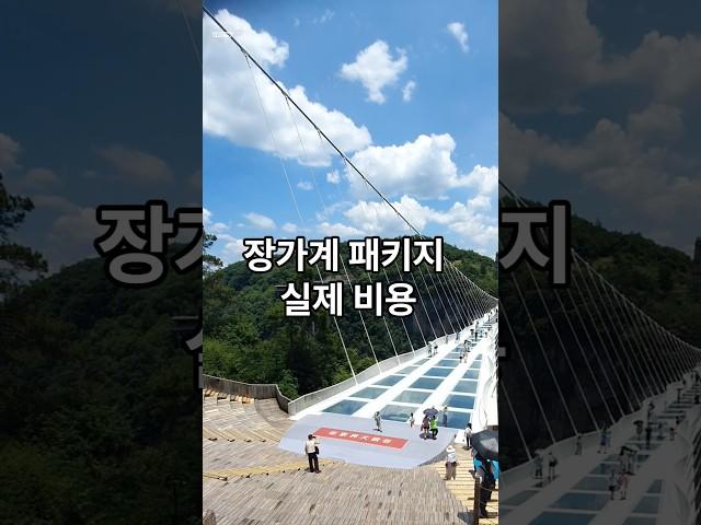 실제 비용 | 장가계 패키지 비용편